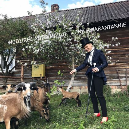 Wodzireje na kwarantannie podczas COVIDu.